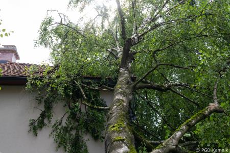 Stanje na terenu (10)